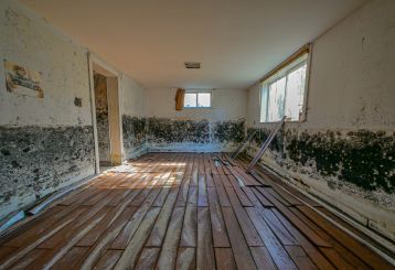 How to Prevent Mold in Your Home: Key Tips & Solutions | Castaic